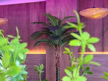 양산 파도 인조야자나무